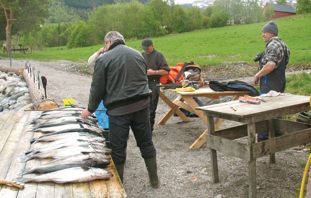 Semesterhus - Vågstranda , Norge - N28062 15