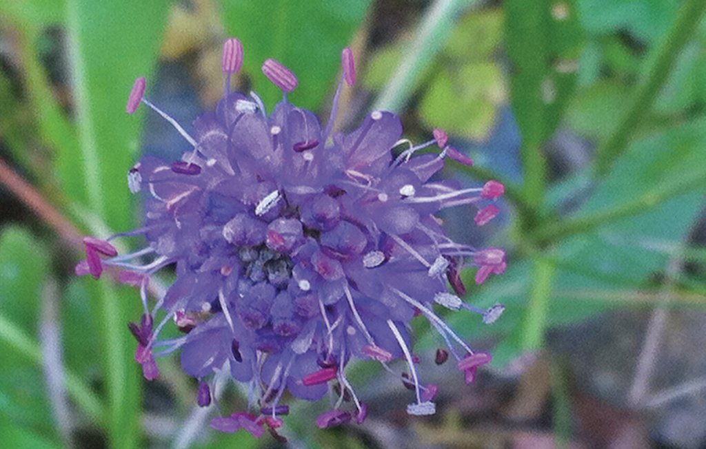 Feriehuse - Stangvika , Norge - N29137 24