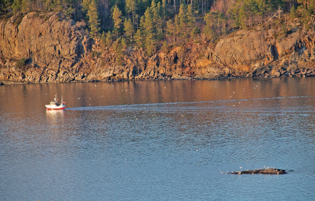 Feriehuse - Kvisvik , Norge - N29295 9