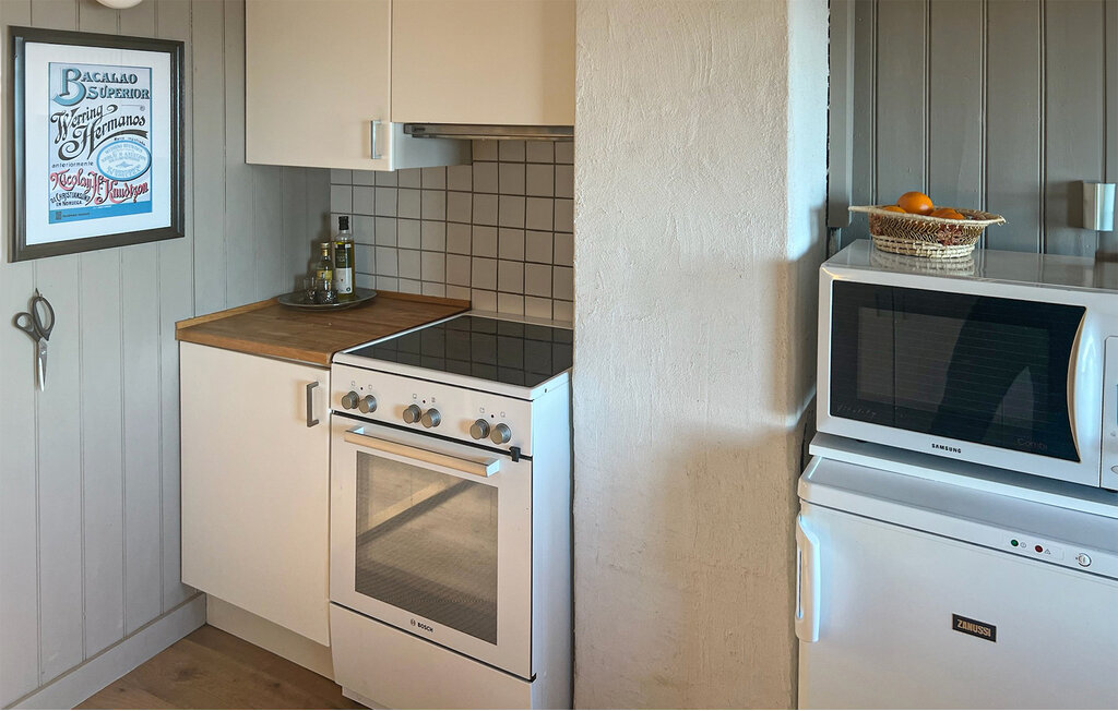 Domy wakacyjne - Smøla , Norwegia - N29281 6