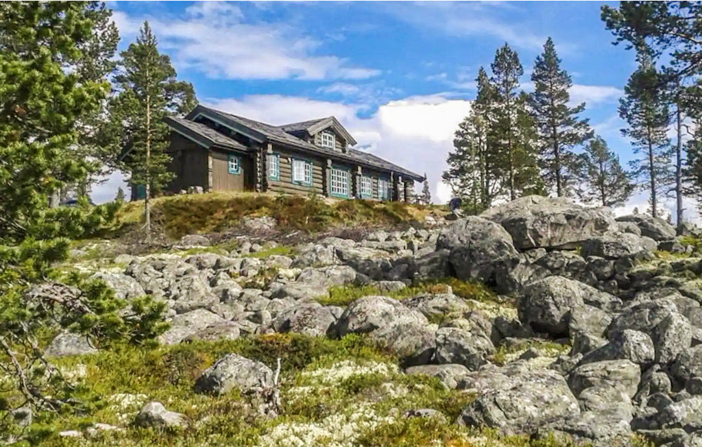 Ferienhaus - Renåfjellet/Rendalen , Norwegen - N30126 2