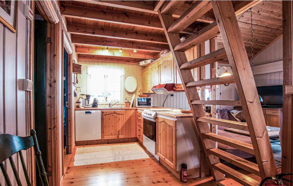 Ferienhaus - Renåfjellet/Rendalen , Norwegen - N30165 12