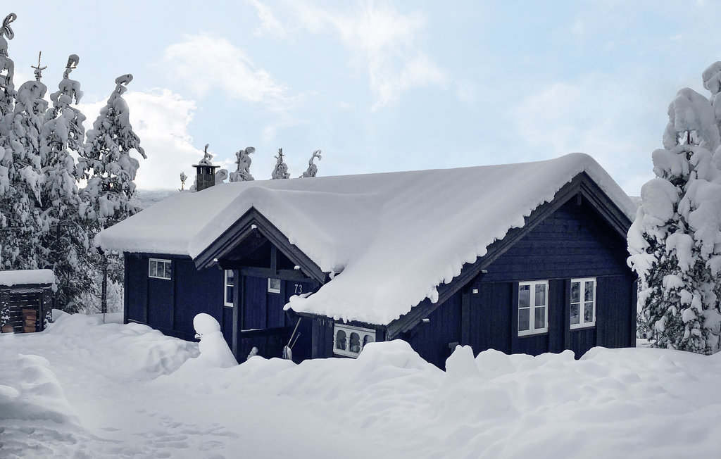 Kuća-za-odmor - Nybergsund/Trysil , Norveška - N30043 10