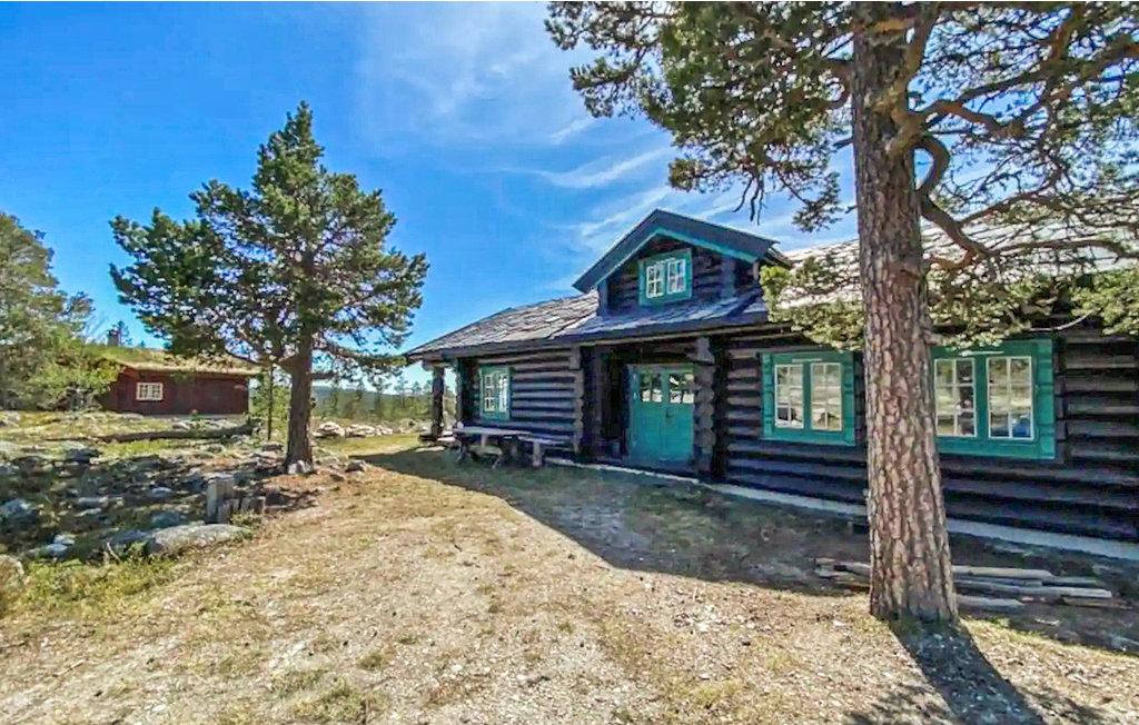 Ferienhaus - Renåfjellet/Rendalen , Norwegen - N30126 9
