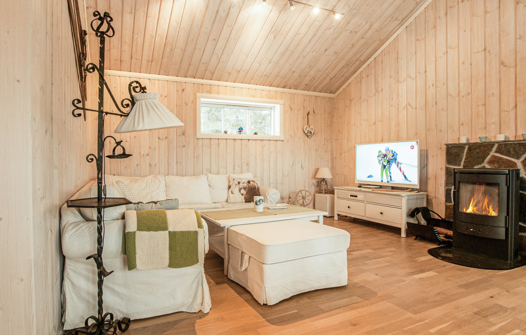 Kuća-za-odmor - Nybergsund/Trysil , Norveška - N30043 4