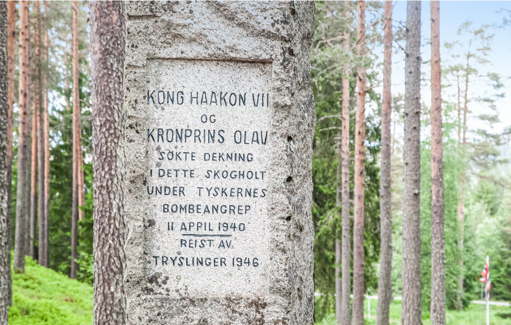 Kuća-za-odmor - Nybergsund/Trysil , Norveška - N30043 20