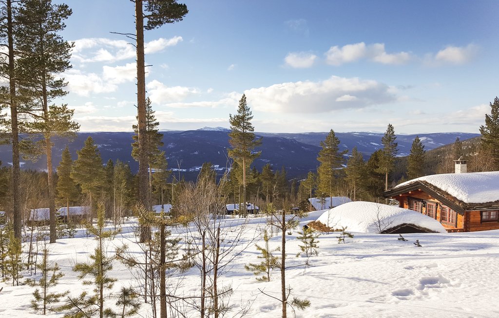 Semesterhus - Renåfjellet/Rendalen , Norge - N30143 15