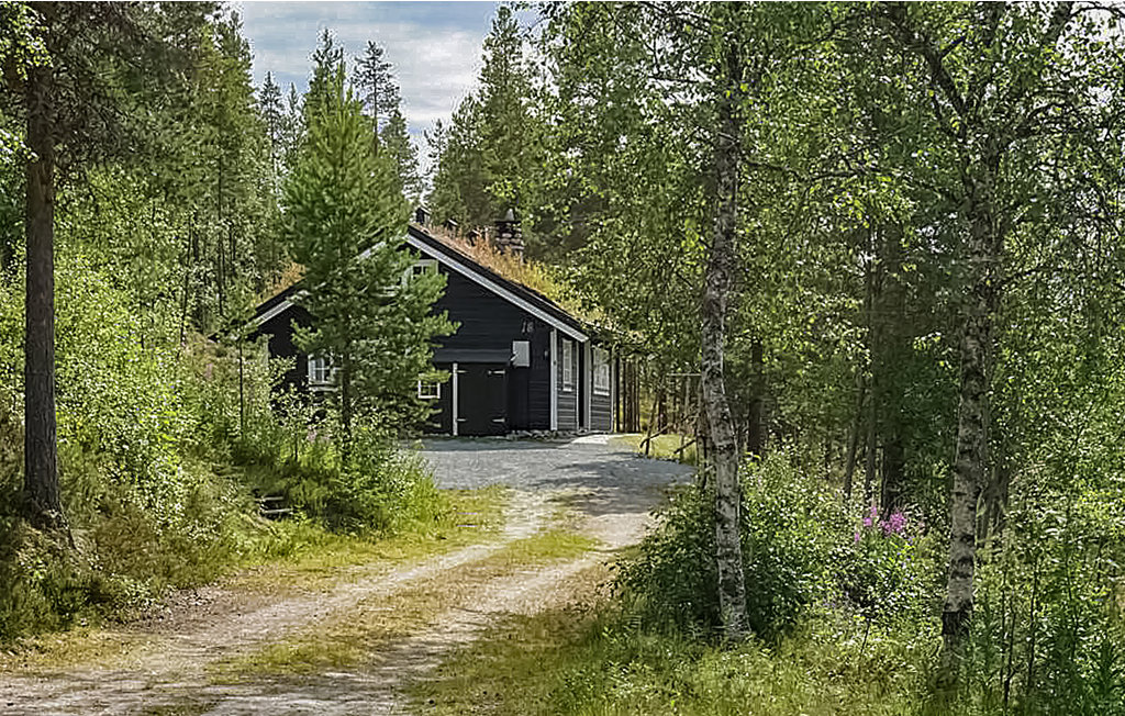 Ferienhaus - Renåfjellet/Rendalen , Norwegen - N30165 9