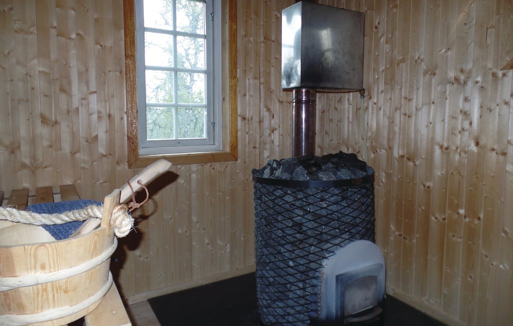 Feriehuse - Rendalen , Norge - N30269 16