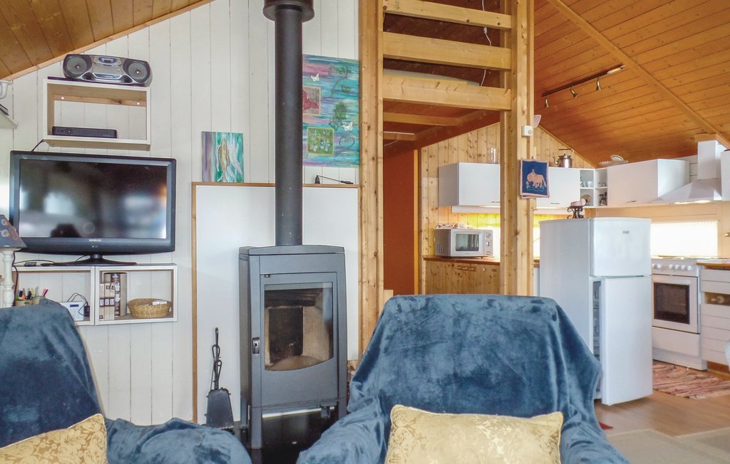 Semesterhus - Renåfjellet/Rendalen , Norge - N30143 9