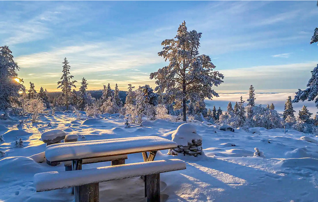 Ferienhaus - Renåfjellet/Rendalen , Norwegen - N30126 14
