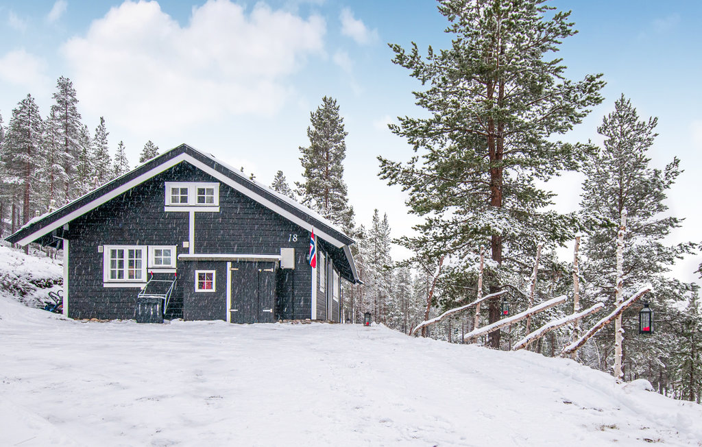 Ferienhaus - Renåfjellet/Rendalen , Norwegen - N30165 8