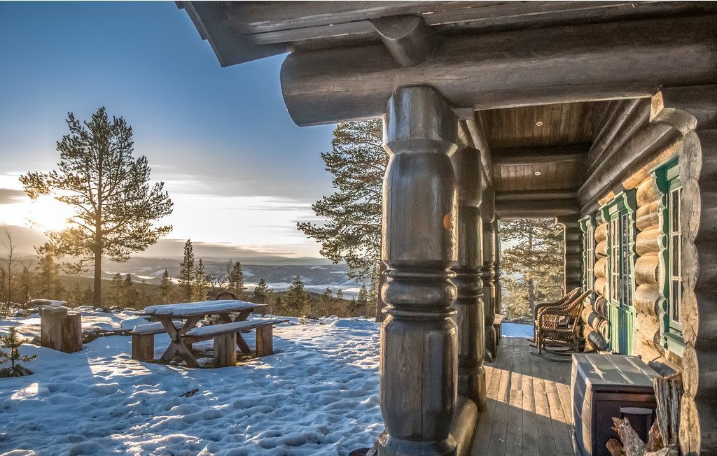 Ferienhaus - Renåfjellet/Rendalen , Norwegen - N30126 1