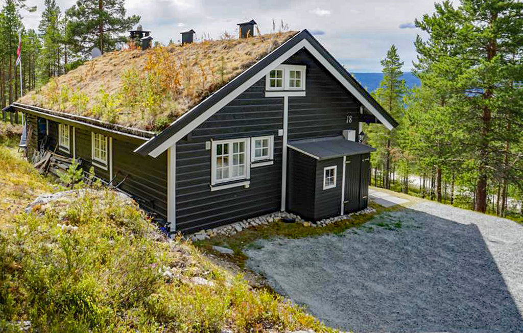 Ferienhaus - Renåfjellet/Rendalen , Norwegen - N30165 1