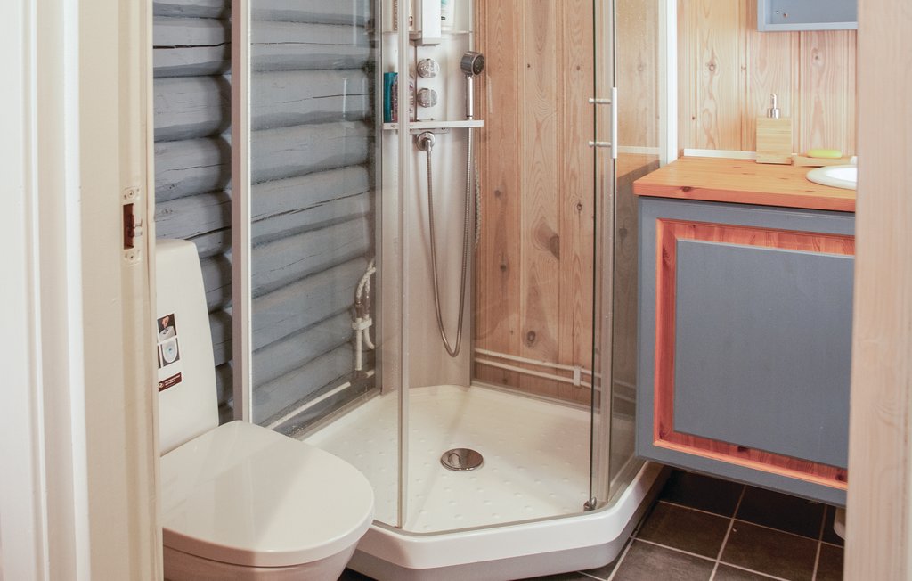 Feriehuse - Renåfjellet/Rendalen , Norge - N30032 17