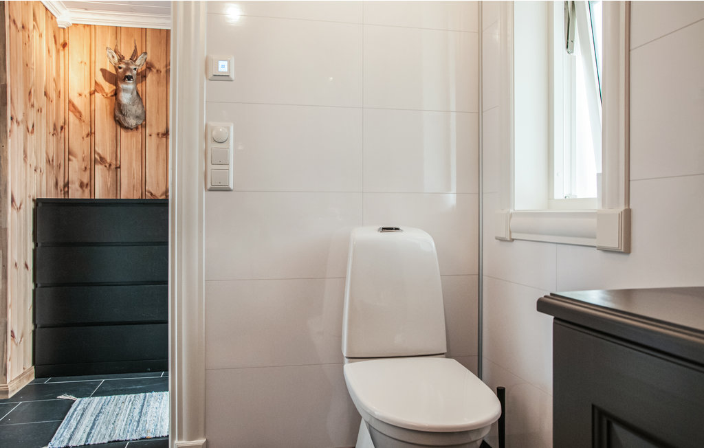 Feriehuse - Engerdal/Engerdalsetra , Norge - N30084 18