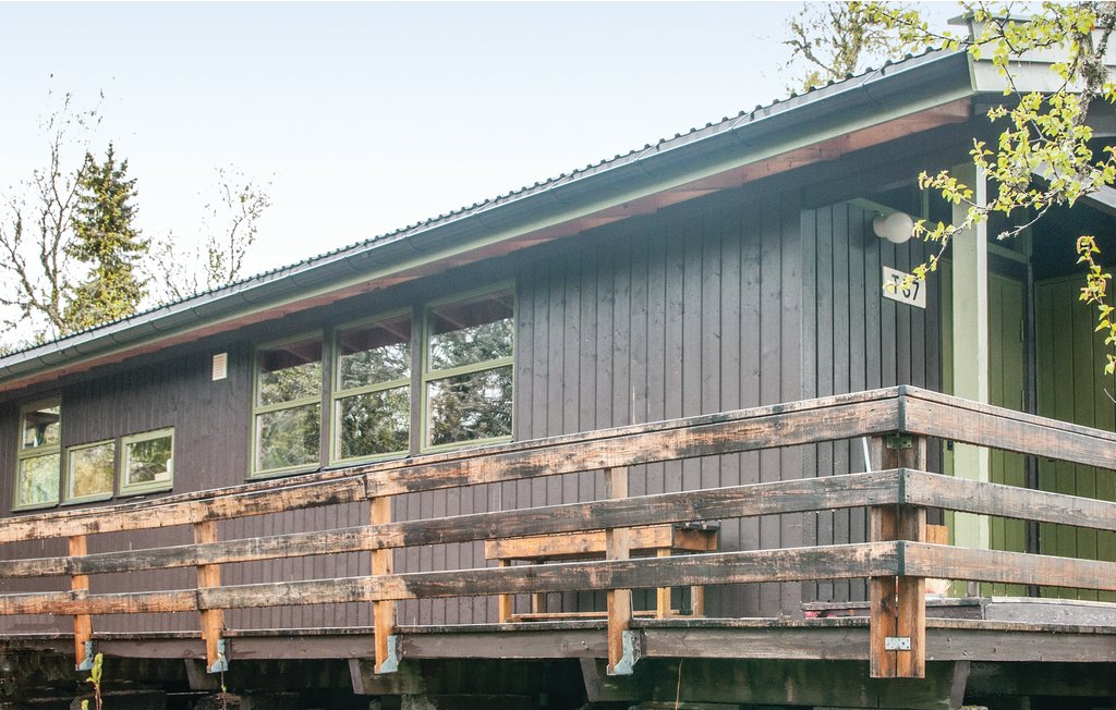 Kuća-za-odmor - Trysil , Norveška - N30033 1