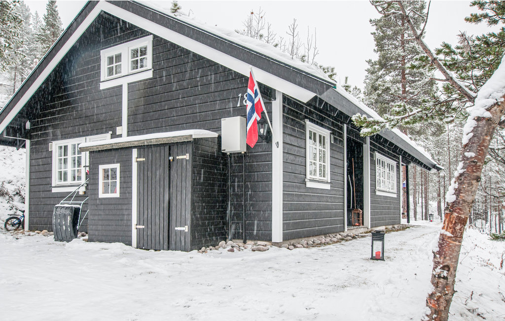 Ferienhaus - Renåfjellet/Rendalen , Norwegen - N30165 6