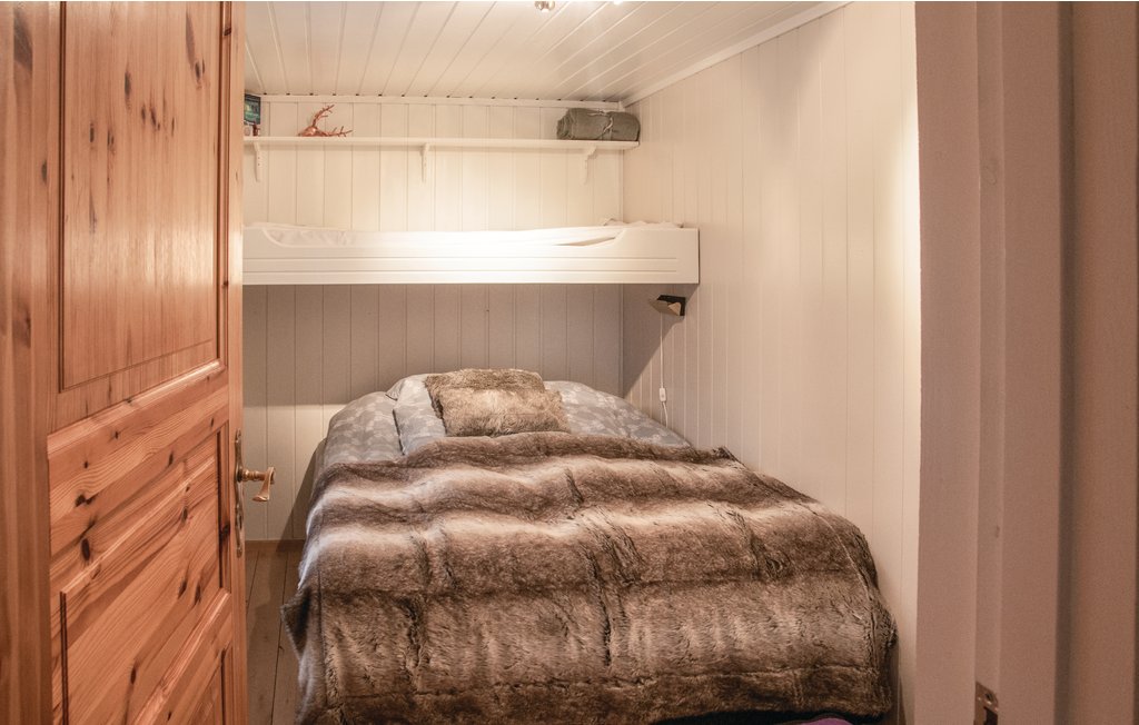 Feriehuse - Renåfjellet/Rendalen , Norge - N30032 12