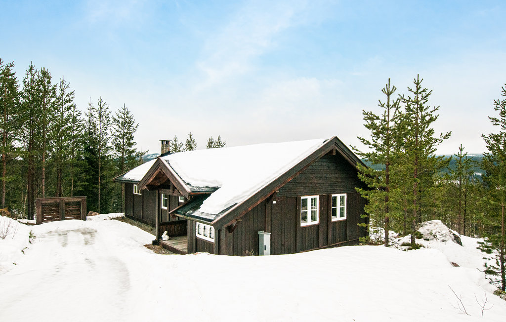 Kuća-za-odmor - Nybergsund/Trysil , Norveška - N30043 9