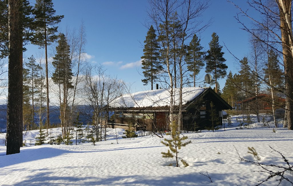 Semesterhus - Renåfjellet/Rendalen , Norge - N30143 4