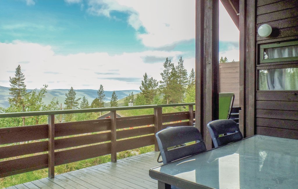 Semesterhus - Renåfjellet/Rendalen , Norge - N30143 7