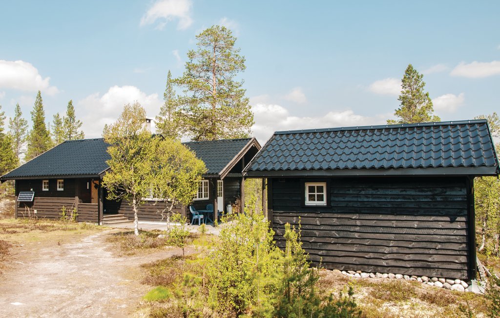 Feriehuse - Rendalen , Norge - N30269 6