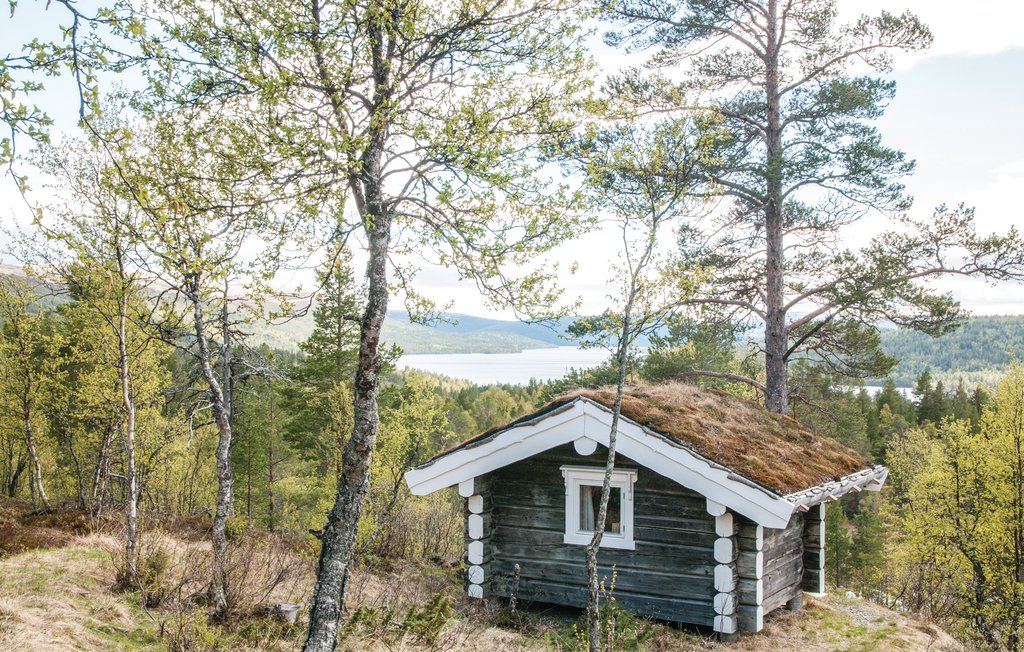 Feriehuse - Savalen , Norge - N30330 8