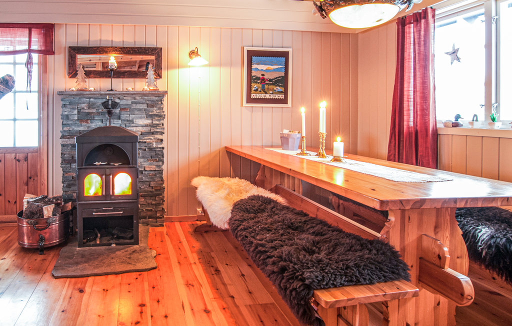 Ferienhaus - Renåfjellet/Rendalen , Norwegen - N30165 3