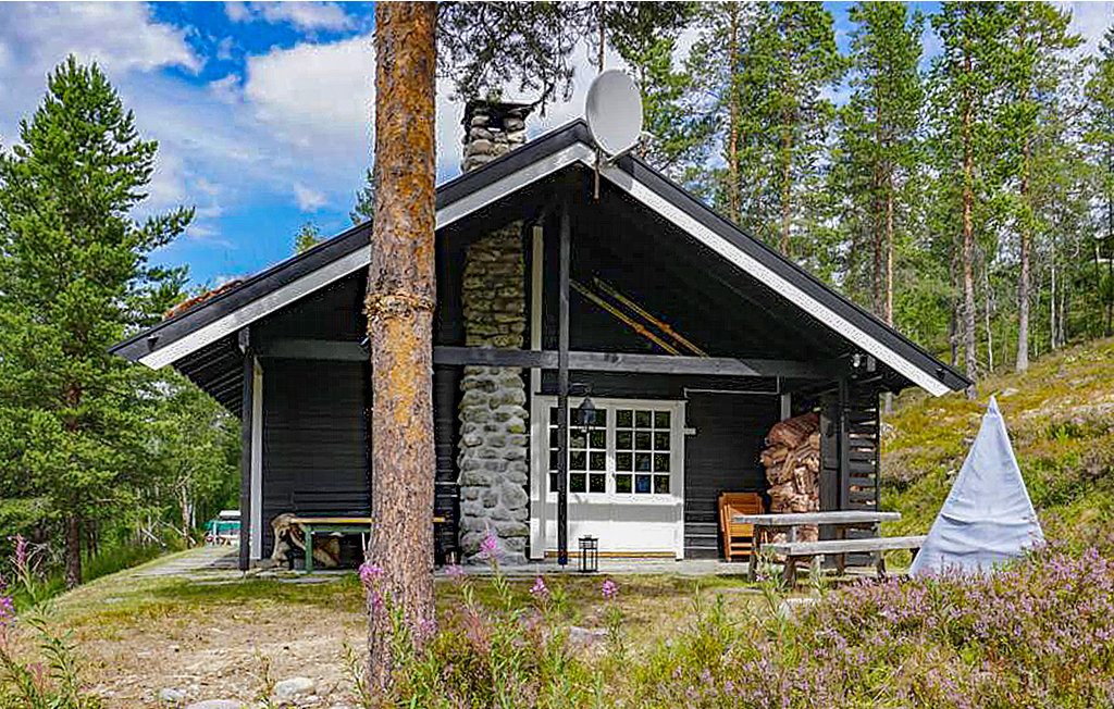 Ferienhaus - Renåfjellet/Rendalen , Norwegen - N30165 7