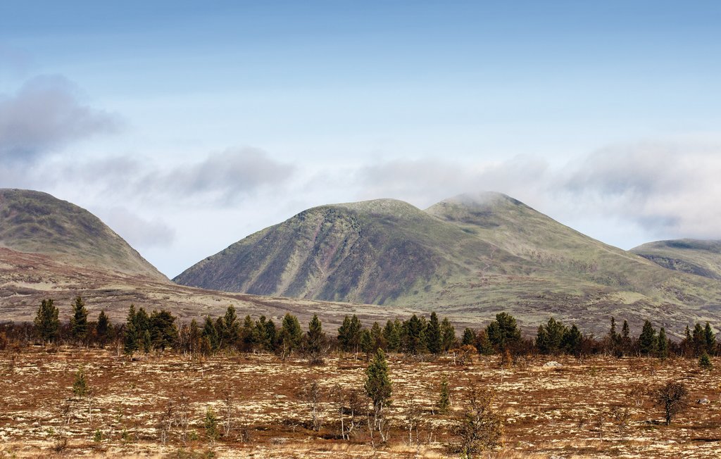 Feriehuse - Rendalen , Norge - N30269 19