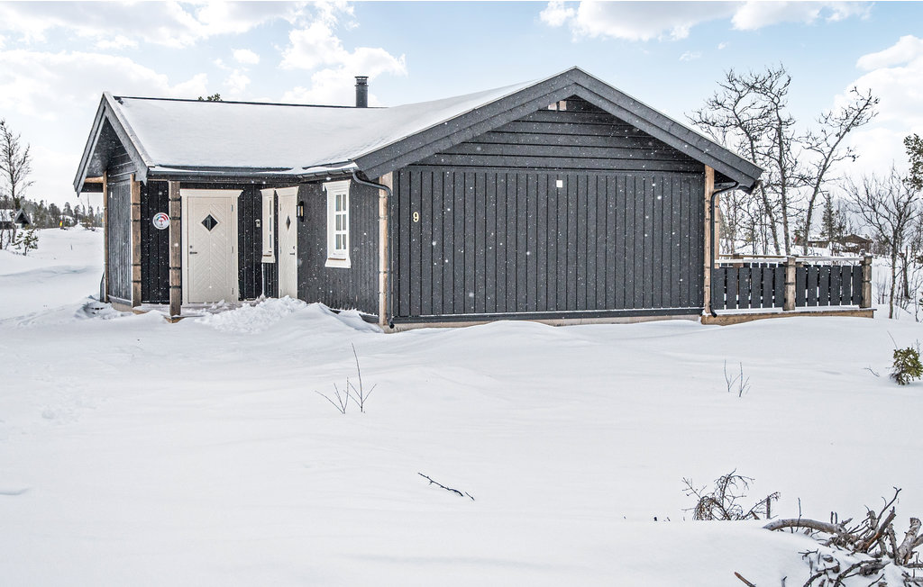 Feriehuse - Engerdal/Engerdalsetra , Norge - N30084 10