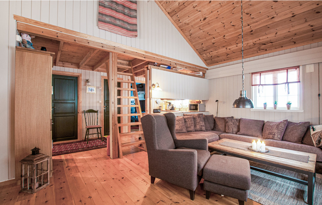 Ferienhaus - Renåfjellet/Rendalen , Norwegen - N30165 11