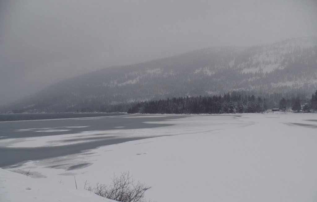 Feriehuse - Femundsundet/Engerdal , Norge - N30241 18