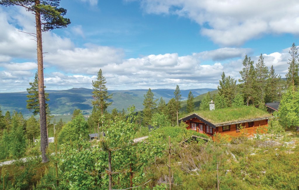 Semesterhus - Renåfjellet/Rendalen , Norge - N30143 16