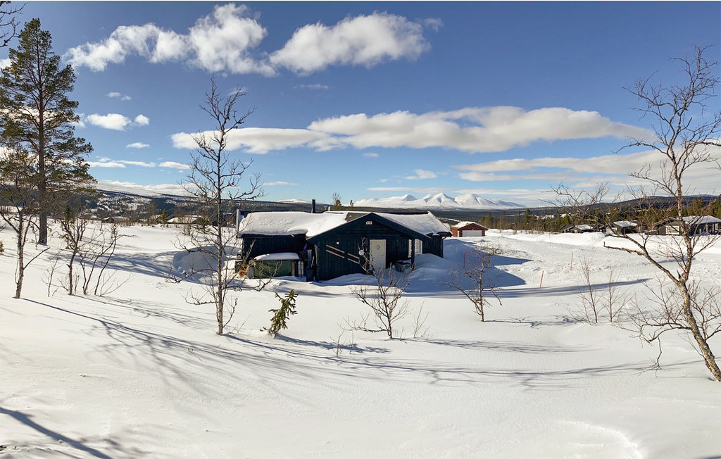 Feriehuse - Engerdal/Engerdalsetra , Norge - N30084 11