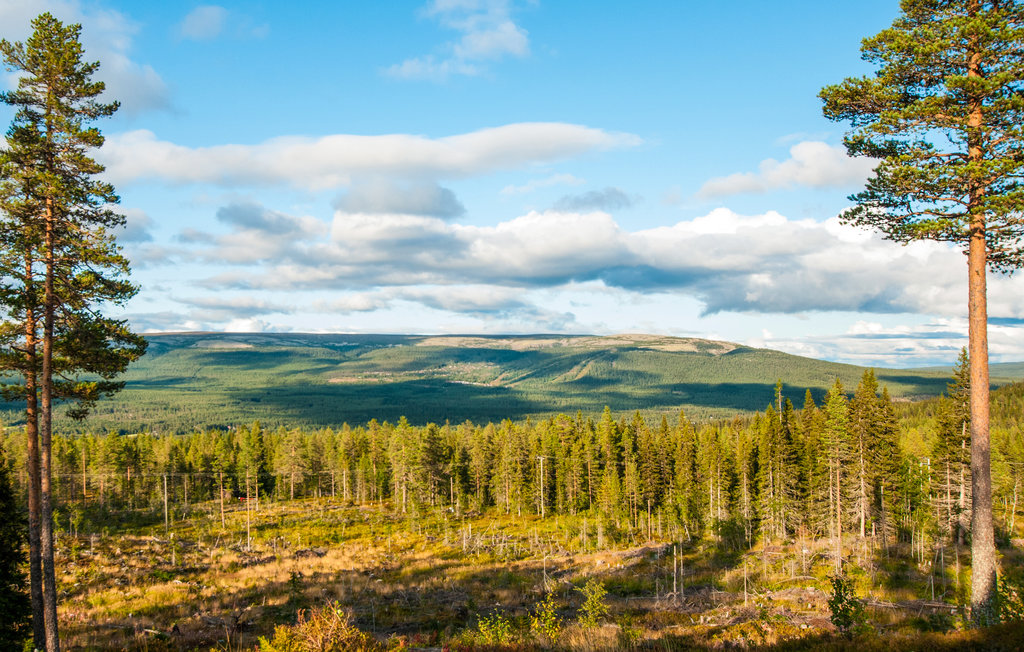 Feriehuse - Solberglia/Trysil , Norge - N30158 19