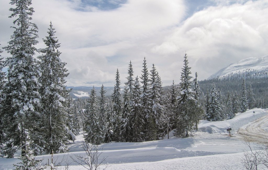 Feriehuse - Rendalen , Norge - N30269 18