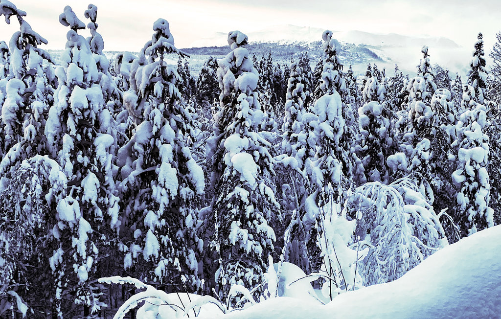 Kuća-za-odmor - Nybergsund/Trysil , Norveška - N30043 22