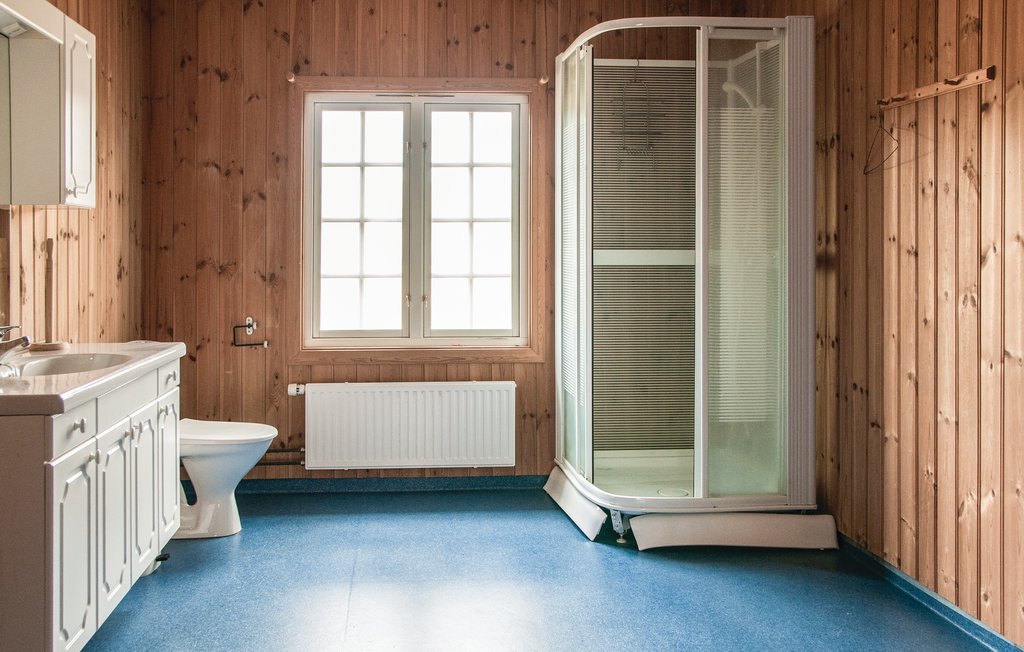 Ferienhaus - Tynset , Norwegen - N30036 14