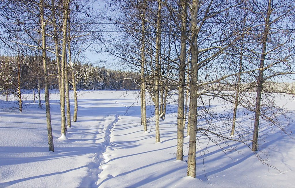 Feriehuse - Rendalen , Norge - N30269 17