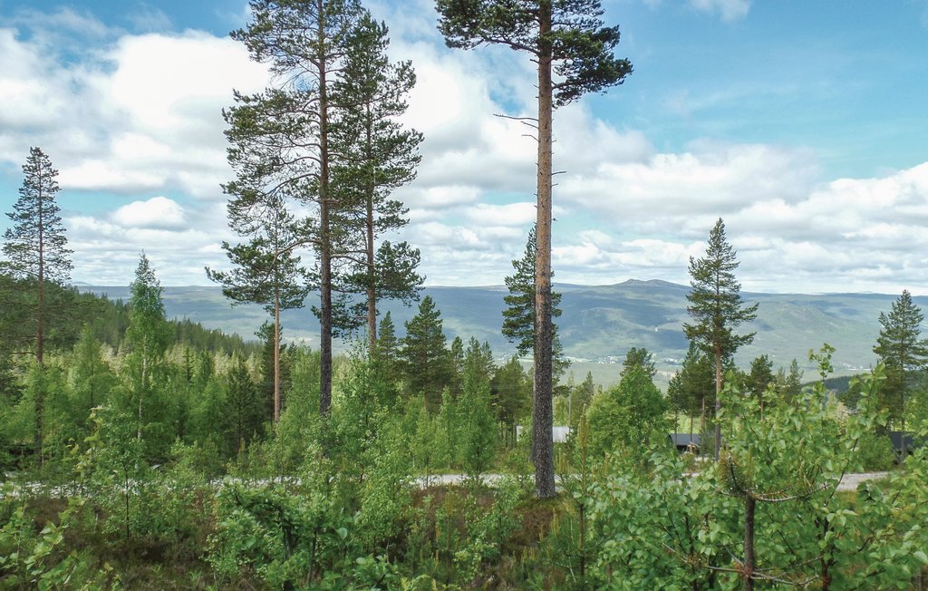 Semesterhus - Renåfjellet/Rendalen , Norge - N30143 18