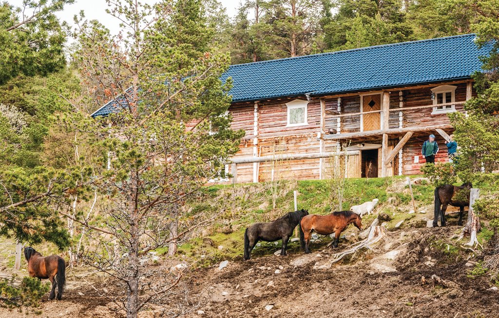 Feriehuse - Savalen , Norge - N30330 27