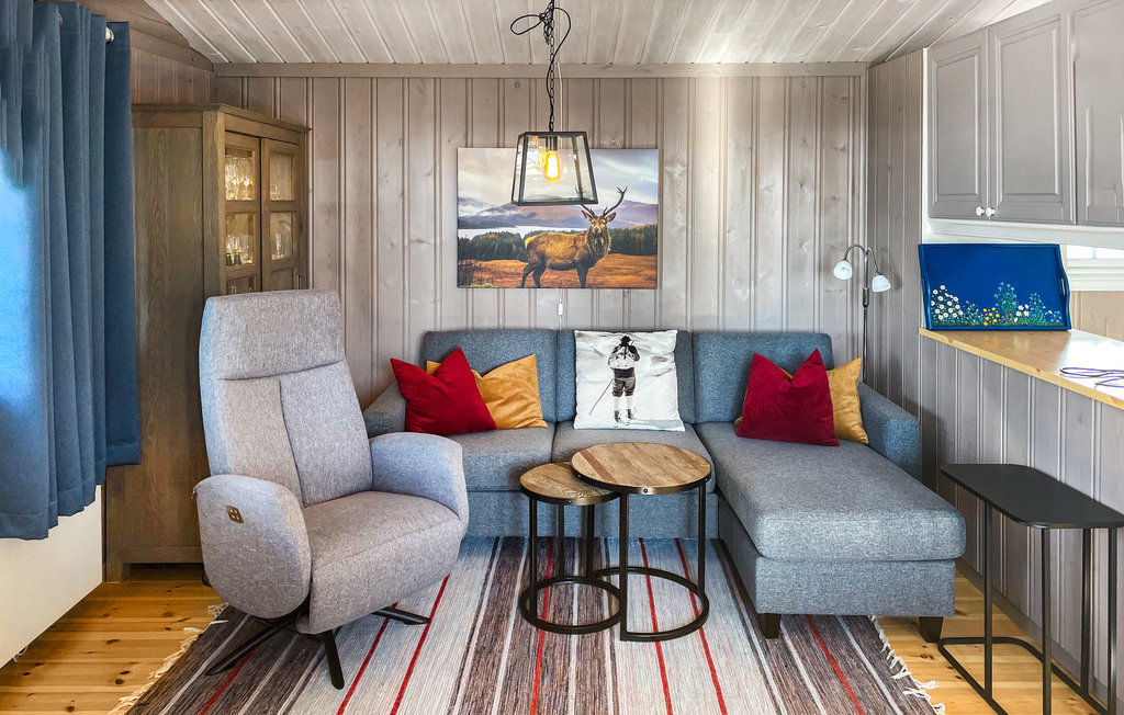 Feriehuse - Engerdal , Norge - N30167 3