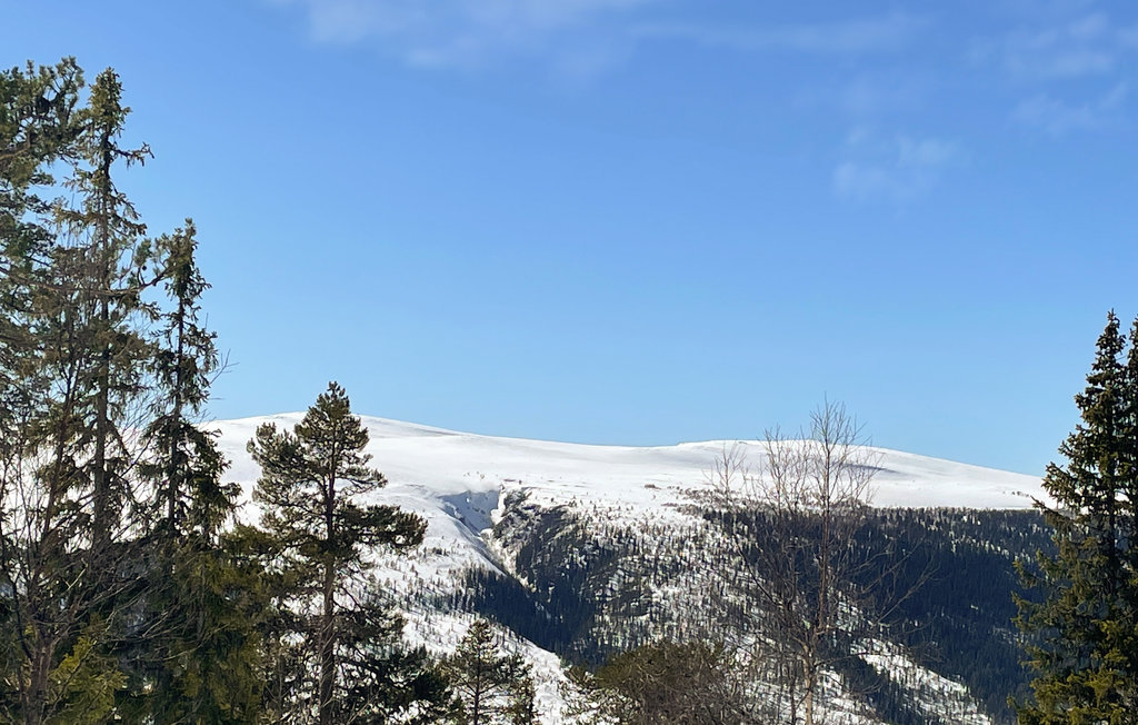 Feriehuse - Engerdal , Norge - N30167 13