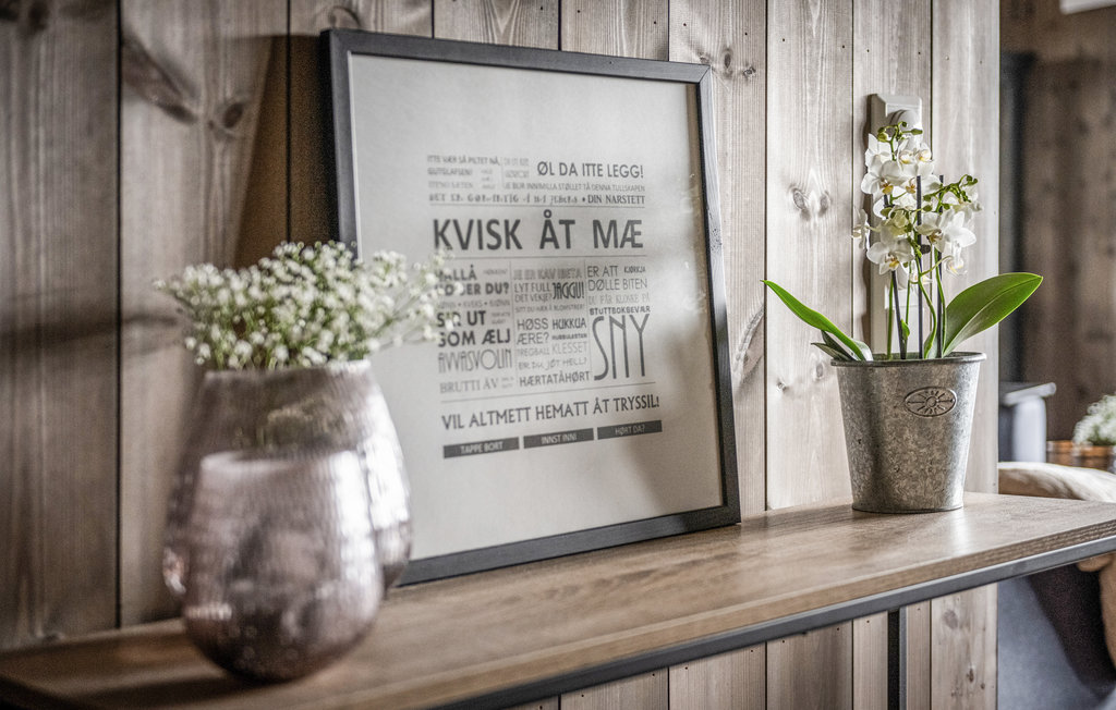 Ferienwohnung - Trysil , Norwegen - N30166 7