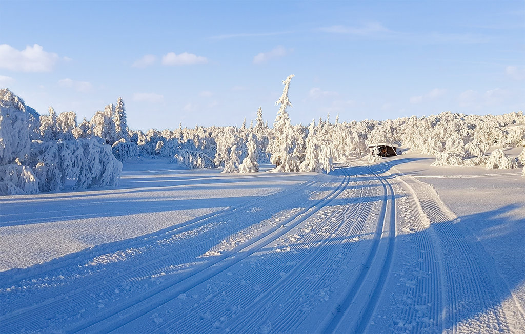 Feriehuse - Engerdal , Norge - N30167 9