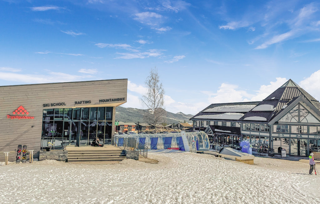 Ferienwohnung - Trysil , Norwegen - N30166 20