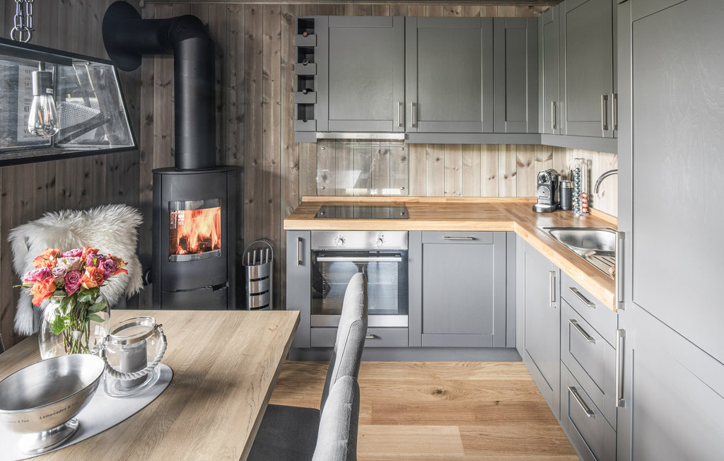 Ferienwohnung - Trysil , Norwegen - N30166 8