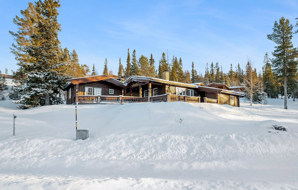 Feriehuse - Engerdal , Norge - N30167 1